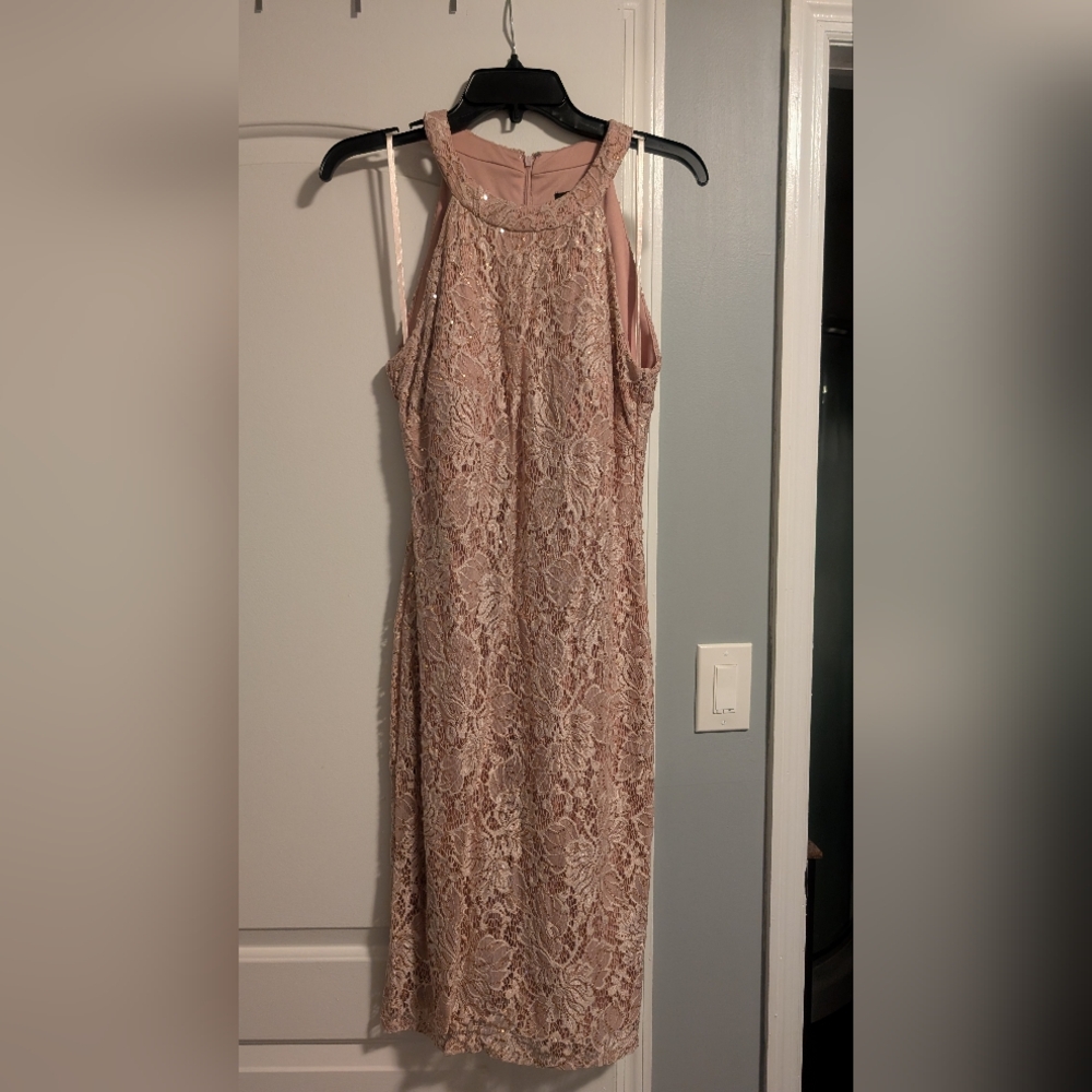 Elegant Lace Sleeveless Dress - Blush